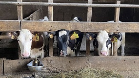 Una jornada en Cantabria acerca las claves de la valoraci�n morfol�gica de la raza Frisona