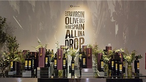 Aceites de Oliva de Espa�a destina 22 millones a una campa�a de promoci�n en Estados Unidos durante los pr�ximos tres a�os
