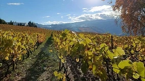 Foto de O tempo das decis�es na agricultura portuguesa