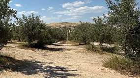 Foto de La valoración ambiental redefine la inversión en fincas rústicas