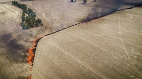 Foto de Agroseguro llama a la tranquilidad tras los incendios y asegura protección para agricultores y ganaderos