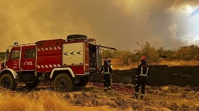 Foto de El acceso al ganado es el principal impacto para el campo en los fuegos del centro peninsular