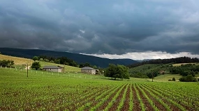 Foto de Asturias concede 7,5 millones en ayudas para impulsar 53 proyectos agroalimentarios y forestales