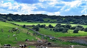 Foto de Las cooperativas de Baleares prevén pérdidas de hasta el 40% por las olas de calor
