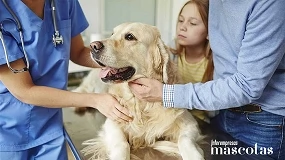 Foto de Boehringer Ingelheim presenta EkoVet+ | Caninebeat AI a la comunidad de cardiólogos veterinarios