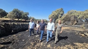 Foto de La Junta de Castilla y León suministra forraje a los ganaderos afectados por el incendio en Fermoselle (Zamora)