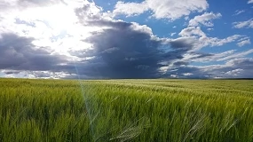 Foto de Ayudas para la compra de fertilizantes: hasta 92,5 euros por hectárea en regadío y 38,33 en secano