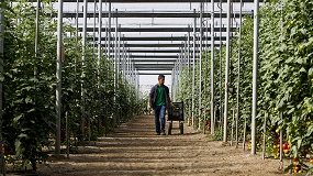 Foto de El empleo agrario pierde m�s de 40.000 afiliados en julio mientras el paro sube ligeramente