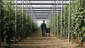 Foto de El empleo agrario pierde más de 40.000 afiliados en julio mientras el paro sube ligeramente
