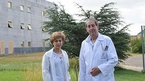 Foto de ¿Qué variedad de olivo es mejor para cada territorio?