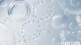 Foto de La SEME organiza una jornada práctica sobre inductores de colágeno para abordar la flacidez facial