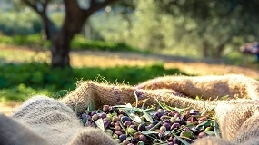 Foto de El COI destina 64.100 euros a promover el consumo de aceite de oliva y aceitunas de mesa