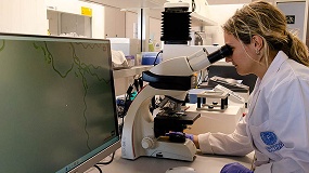 Foto de La Universidad de Almería obtiene biomasa de microalgas personalizada durante la depuración de aguas