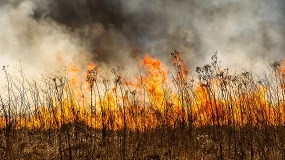Foto de ¿Cómo afectan los incendios a la buena marcha de los negocios en las empresas?