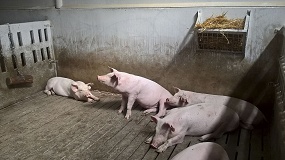 El sector ganadero reduce sus emisiones de amoniaco un 17,6% en los �ltimos 20 a�os
