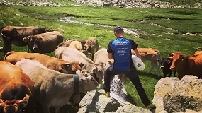 Foto de Reclaman medidas urgentes para frenar la desaparición de la ganadería extensiva en Cataluña