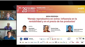 Foto de Manejo reproductivo en ovino: influencia en la rentabilidad y en el precio de los productos