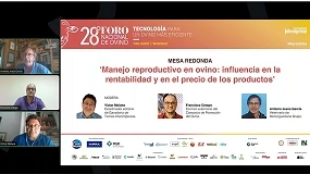 Foto de Manejo reproductivo en ovino: influencia en la rentabilidad y en el precio de los productos