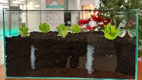 Foto de AIMPLAS desarrolla agua s�lida para mantener las plantas hidratadas durante m�s tiempo