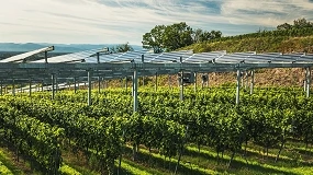 Foto de Proyecto TECSOL-FRUT, un impulso a la agrivoltaica para mejorar el rendimiento y la sostenibilidad de los cultivos frutales