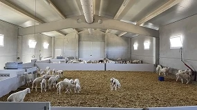 Foto de Medidas básicas de bienestar en animales de producción ante las altas temperaturas