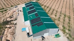 Foto de El sector agrario y la energía fotovoltaica: una combinación perfecta