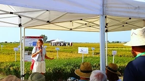 Foto de El IRTA aborda en su jornada del arroz los retos de la sequía, la salinidad y la eficiencia de los recursos