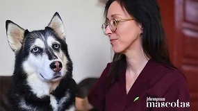 Foto de Chuches y snacks en perros y gatos: cuando el premio también es nutrición
