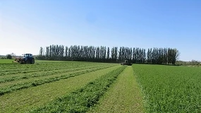 Foto de La producción de forrajes deshidratados bajará un 4% en España en la campaña 2026/27