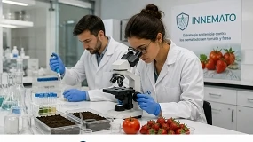 Foto de GO Innemato: ozono y microorganismos para combatir los nematodos en tomate y fresa