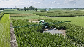 Foto de Bayer acelera su apuesta por nuevas soluciones en semillas y protecci�n de cultivos