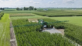 Foto de Bayer acelera su apuesta por nuevas soluciones en semillas y protección de cultivos