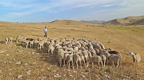 Foto de Previnovic confirma la importancia del pastoreo en la prevención de incendios