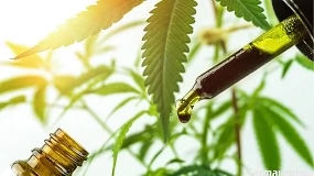 Foto de CBD: todo sobre el cannabidiol y la evidencia científica que lo respalda