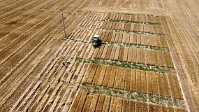 Foto de Florimond Desprez, la innovación al servicio del agricultor