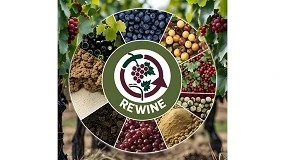 Foto de REWINE busca convertir los residuos vitivinícolas en biofertilizantes y nuevos materiales