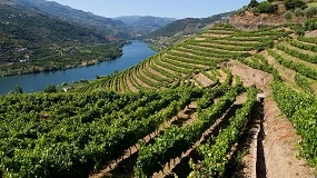 Foto de ANDOVI considera apoio ao Douro positivo, mas insuficiente