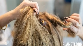Foto de Después del verano, el cabello pide algo más que hidratación