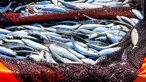 Foto de Pesca recebe 13 milh�es de euros para compensar aumento dos combust�veis