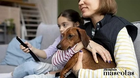 Foto de Cinco tips a tener en cuenta antes de contratar un seguro para mascotas