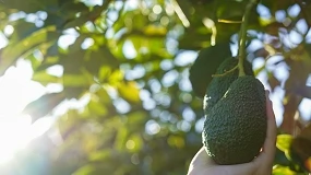 Foto de El nuevo marco europeo y el reto de hacer rentable la agricultura