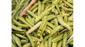 Foto de IA identifica cerca de 800 prote�nas vegetais com potencial para substituir emulsionantes de origem animal
