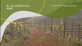 Foto de AJAP promove forma��o para t�cnicos em Modo de Produ��o Integrada em vinha