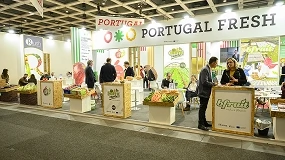 Foto de Setor de frutas e legumes confia na recupera��o