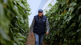 Foto de Grupo Agroponiente supera el hito de los 500 millones de facturaci�n reforzando su dimensi�n multinacional