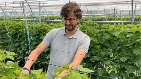 Foto de �A competitividade dos produtores depende da qualidade, consist�ncia e cumprimento de requisitos�