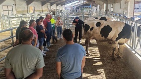 Conafe y AFNA refuerzan en Navarra la formaci�n en morfolog�a y mejora gen�tica de la Frisona