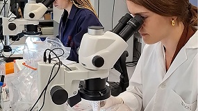 Foto de Nuevos compuestos para combatir un par�sito de la dorada en acuicultura