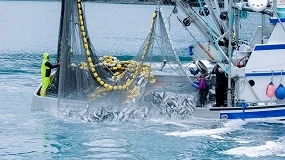 Foto de Parlamento Europeu aprova novas regras para a gest�o sustent�vel da pesca em alto mar