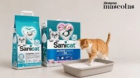 Foto de El bienestar de tu gato empieza por su arena: la guía definitiva de Sanicat